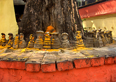 Information about History of Naga Panchami.Naga Panchami is a famous Hindu festival, celebrated in the honor of snakes